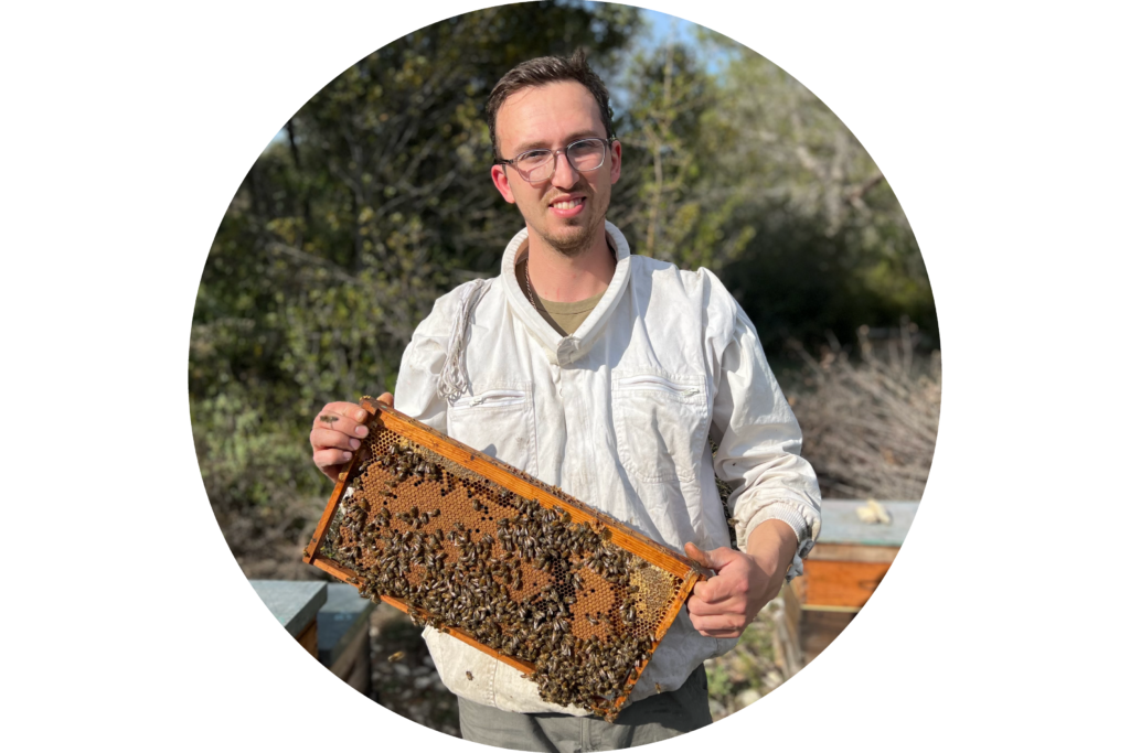 Apiculteur du Grésivaudan